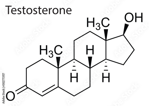 Vector of molecular structure of Testosterone human steroid