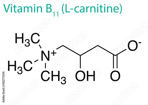 Illustration of a Vitamin B11 molecule isolated on a white background