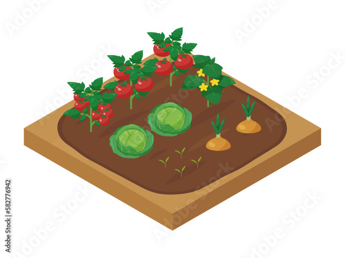 野菜を育てる畑のイラスト_アイソメトリック