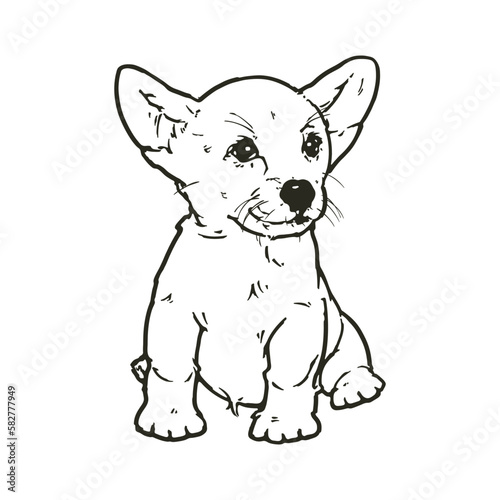 Corgi Puppy, Dog Drawing, Vector Illustration