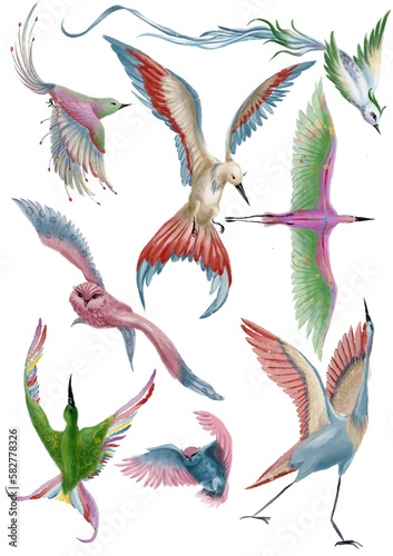 Photography Set od Rainbow birds