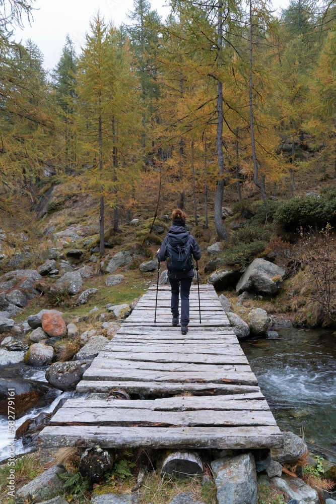 Obraz premium Vertical shot of a female hiker walking on a wooden bridge in a forest in autumn
