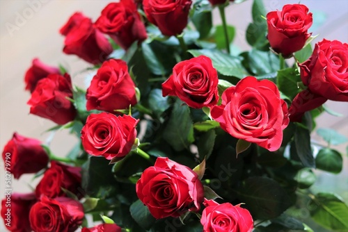 Bunch of red roses