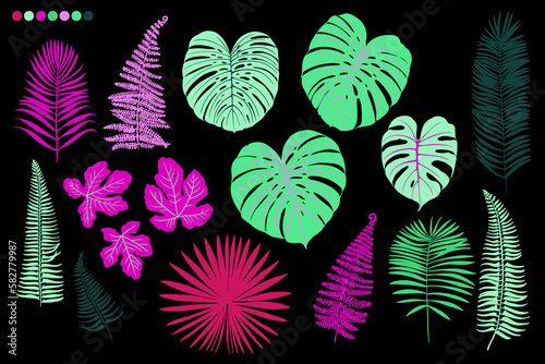 Green and pink tropical trendy leaves and flowers. Black background graphic plants. 