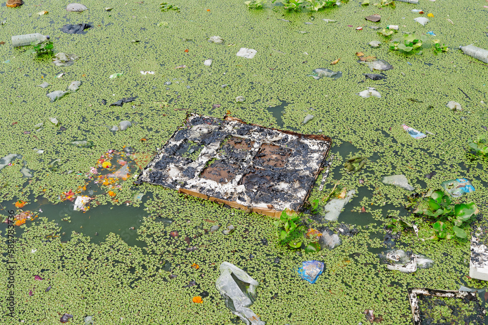rampant throwing of garbages including plastic and foams in an algae ...