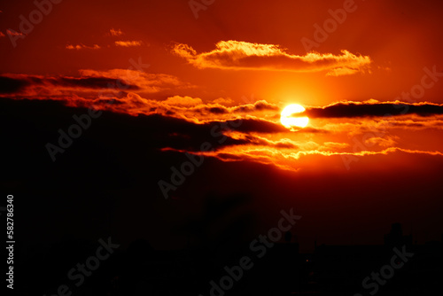 夕陽7