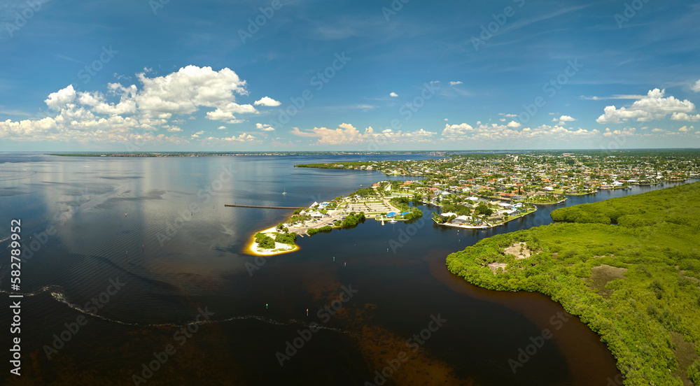 Obraz premium Aerial view of residential suburbs with private homes located near wildlife wetlands with green vegetation on sea shore. Living close to nature concept