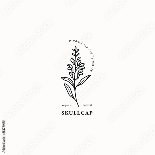 Tableau sur toile Line art skullcap branch illustration