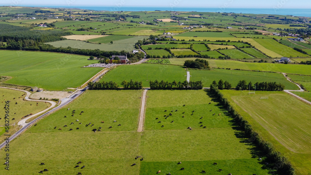 Farmland in the south of Ireland on a sunny summer day. Picturesque agricultural landscape, top view. Rural area. Green grass field and animals on the pasture