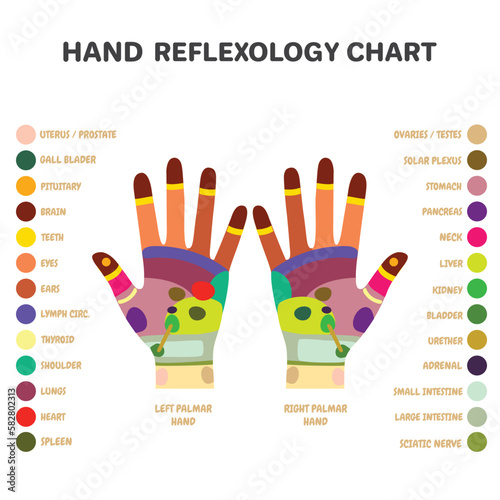 Traditional alternative heal, Reflexology hand massage points