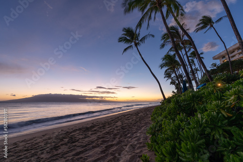 Beautiful Sunset on a Hawaiin beach with palm trees