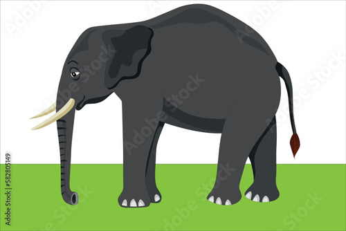 vector adult elephant with ivory in cartoon style .