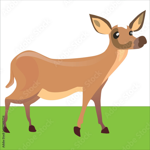 deer with grass.A deer with long horns stands on the grass and looks forward-vector Artwork