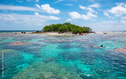 Fototapeta Naklejka Na Ścianę i Meble -  Tropical islet surrounded by coral reef lagoon.