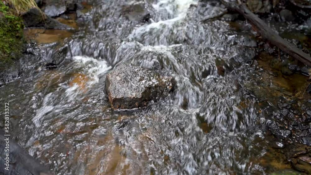 Tranquil Stream in Pristine peaceful Woods of Sweden: Calming Nature Footage for Wellness, Yoga, Stress-relief and sleep Videos. Tranquil Stream in Pristine peaceful Woods of Sweden: Calming Nature Footage for Wellness, Yoga, Stress-relief and sleep Videos.