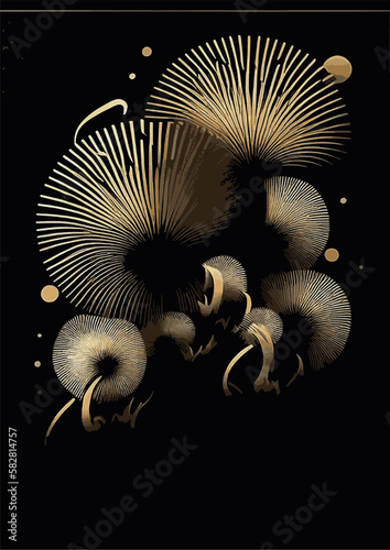 A set of backgrounds for text, psychedelic hippie art sparklers , a frame of stylized Fireworks. Posters dedicated to Guy Fawkes' Night , Bonfire Night , Fireworks Night, New Year, July 14, Bastille d