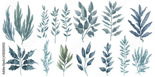 Wild and Wonderful. A Vector Set of Decorative Leaf Elements on a White Background © valenia