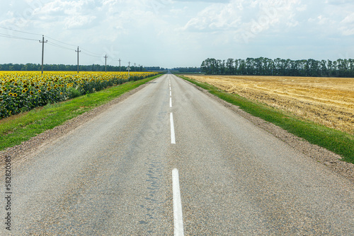 Asphalt road in between fields on a bright sunny day against a cloudy sky. Expressway.
