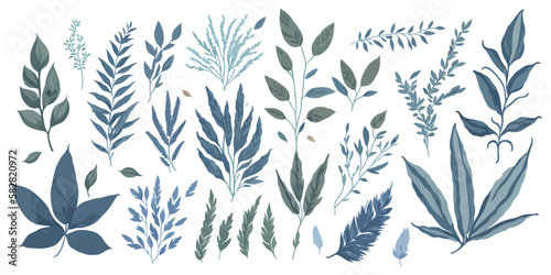 Botanical Bliss. A Colorful Vector Set of Flat Herb Elements for Your Designs