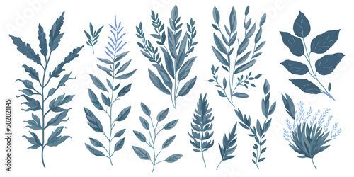 Fresh Foliage. A Vector Set of Vibrant Flat Herbs for Your Designs