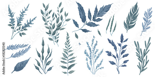 Vector Variety. A Beautiful Set of Flat Herbs on a White Background