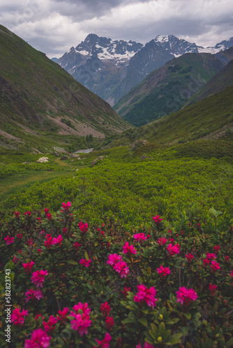 A picturesque landscape shot of a meadow in the Alps mountains in the Valgaudemar valley (Les Oulles du Diable)
