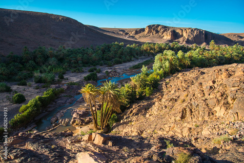 River in the oasis in the central Morocco. Palm plant along river