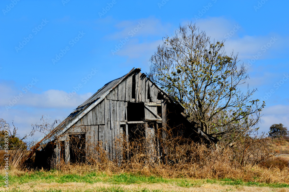 Autumn Bareness Decorates Arkansas Barn Autumn Bareness Decorates Arkansas Barn
