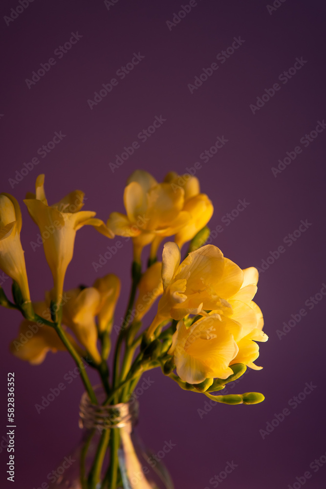 bouquet of yellow tulips in vase. floral background bouquet of yellow tulips in vase. floral background