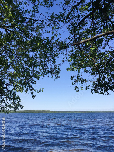 Fototapeta Naklejka Na Ścianę i Meble -  Beautiful lake with blue water. Tree branches in the foreground.