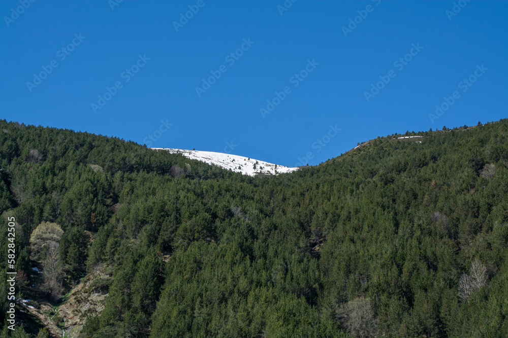Pyrenees mountains landscape in spring Pyrenees mountains landscape in spring