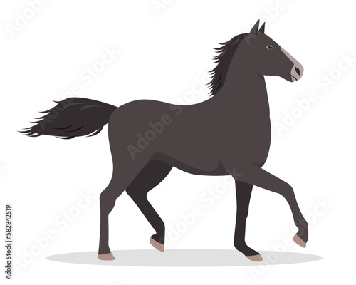 Black running Horse icon. Farm domestic animal isolated on white background. Vector flat or cartoon illustration.