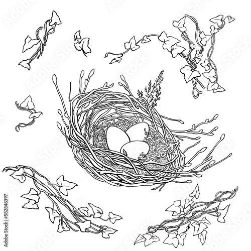Wallpaper Mural Vector graphics set drawing nests and plants Torontodigital.ca
