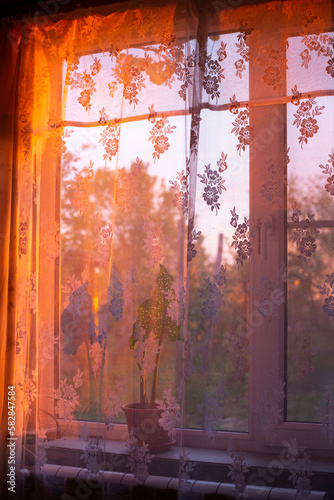 Sunlight falling through a window with a see-through curtain  with a flower in a pot on the windowsill  on a spring evening at sunset.