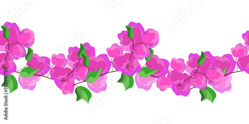 Seamless border of pink bougainvillea flowers on white background. Floral vector illustration.