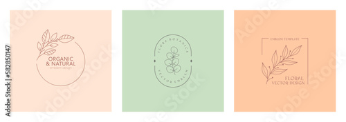Vector floral organic emblems.Natural logo designs with linear eucalyptus branch and frames.Modern eco or bio badges in trendy minimalist style.Branding design templates.