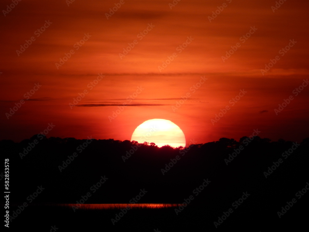 Red sun over the river and trees Red sun over the river and trees