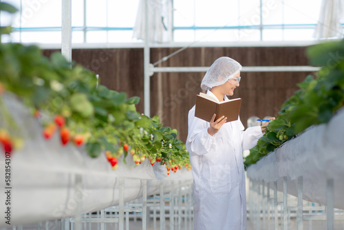 Φωτογραφία Young asian woman check cultivation strawberry with happiness for research and writing notebook in farm greenhouse laboratory, female examining strawberry with agriculture, small business concept