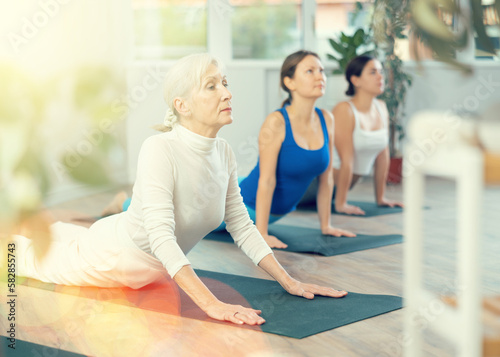 Concentrated gray-haired elderly woman doing power yoga in group in modern studio, standing in upward facing dog pose. Healthy sports lifestyle for adults concept..