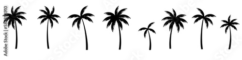 Murais de parede Difference of palm tree black bundle set isolated on white.
