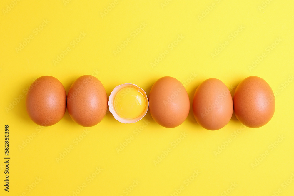 fresh farm chicken eggs on a colored background fresh farm chicken eggs on a colored background