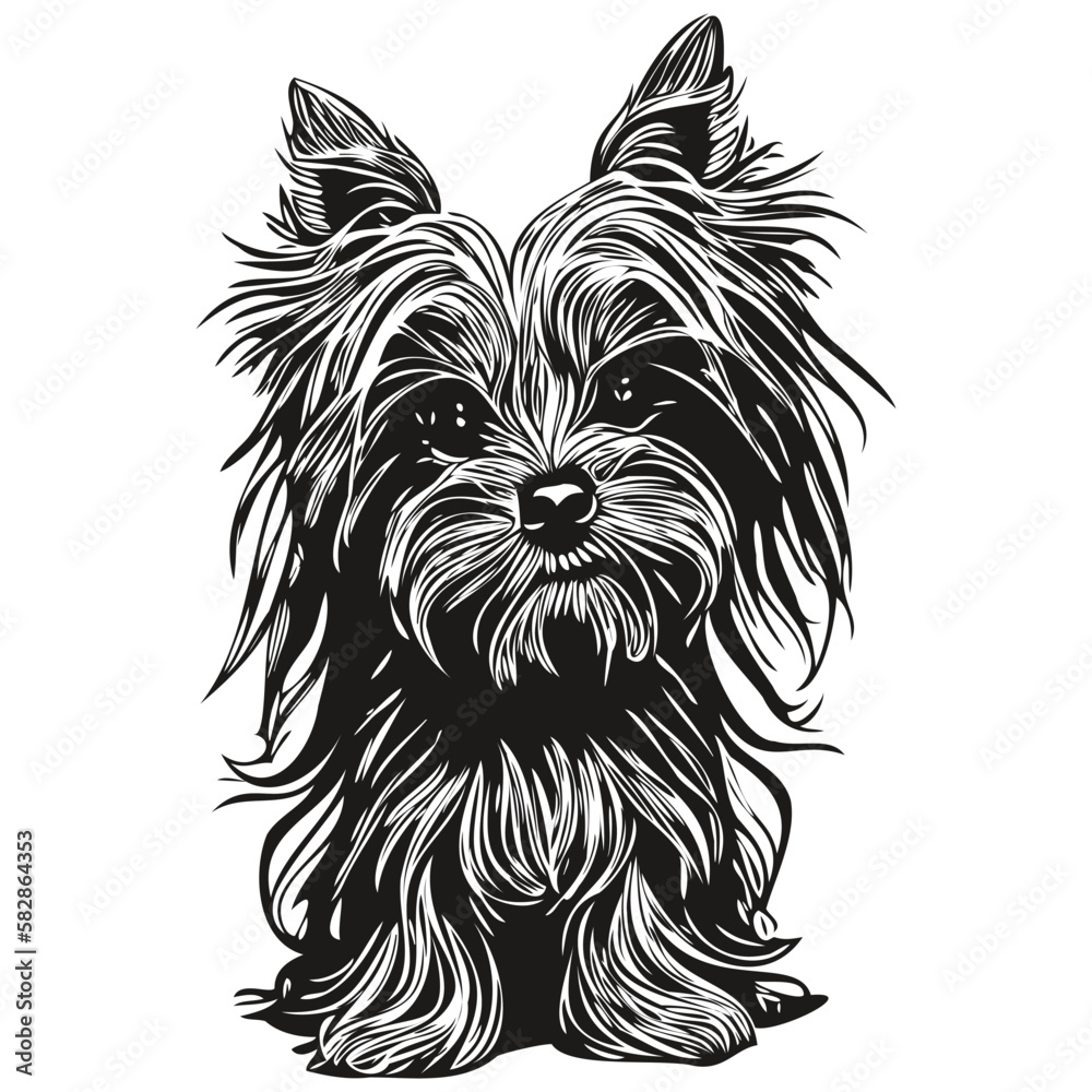 Yorkshire Terrier dog logo hand drawn line art vector drawing black and ...