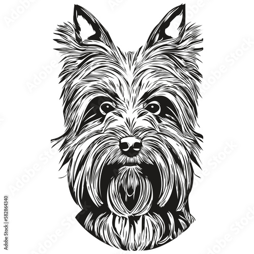Yorkshire Terrier dog hand drawn vector logo drawing black and white line art pets illustration