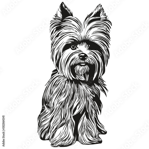Yorkshire Terrier dog line art hand drawing vector logo black and white pets illustration