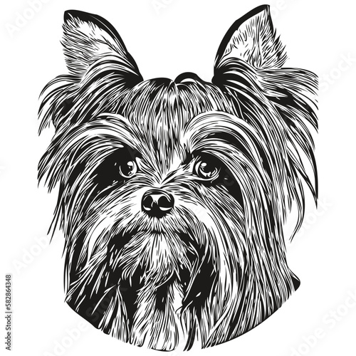 Yorkshire Terrier dog line art hand drawing vector logo black and white pets illustration
