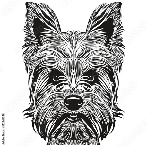 Yorkshire Terrier dog logo hand drawn line art vector drawing black and white pets illustration