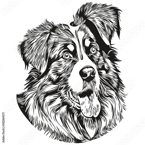 Australian Shepherd dog line art hand drawing vector logo black and white pets illustration