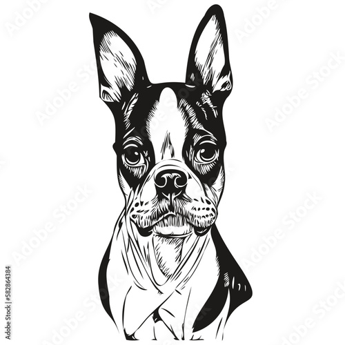Boston Terrier dog line art hand drawing vector logo black and white pets illustration © Сергей Тарасюк