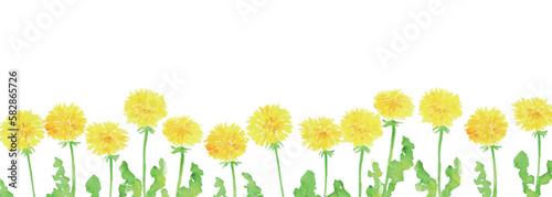 水彩画。水彩タッチのタンポポのベクターイラスト。水彩画のタンポポリアルタッチ挿絵。Watercolor painting. Watercolor touch dandelion vector illustration. Watercolor dandelion realistic touch illustration.