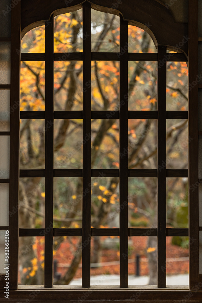 日本　京都府京都市にある圓光寺の瑞雲閣の窓から見える十牛之庭の紅葉
